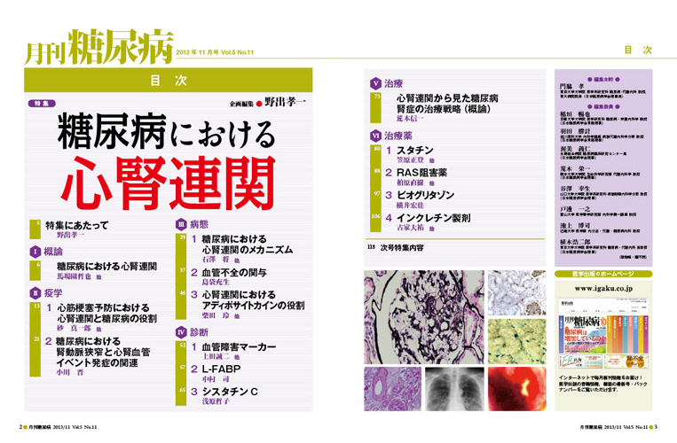 月刊糖尿病 Vol．5No．11（2013 /医学出版/野出孝一
