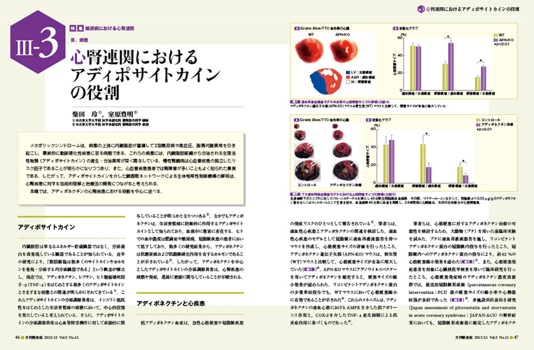 月刊糖尿病  Ｖｏｌ．５Ｎｏ．１１（２０１３ /医学出版/野出孝一（単行本） 月刊糖尿病（DIABETES）のバックナンバー | 雑誌/定期購読の予約