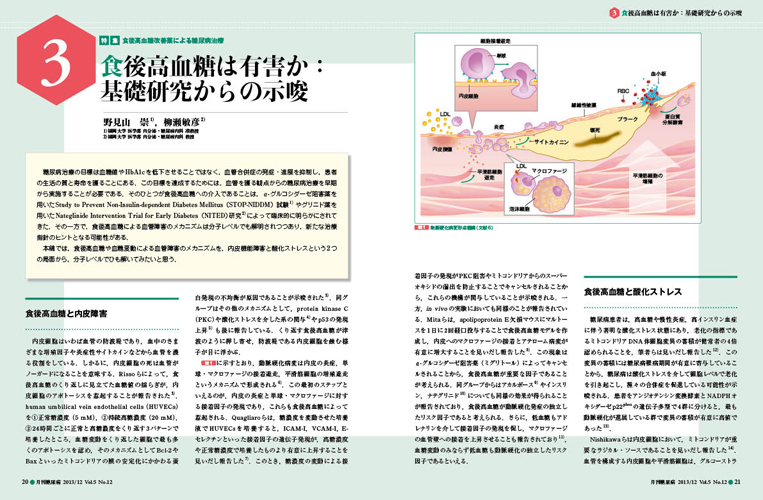 医学出版_月刊糖尿病13年12月号