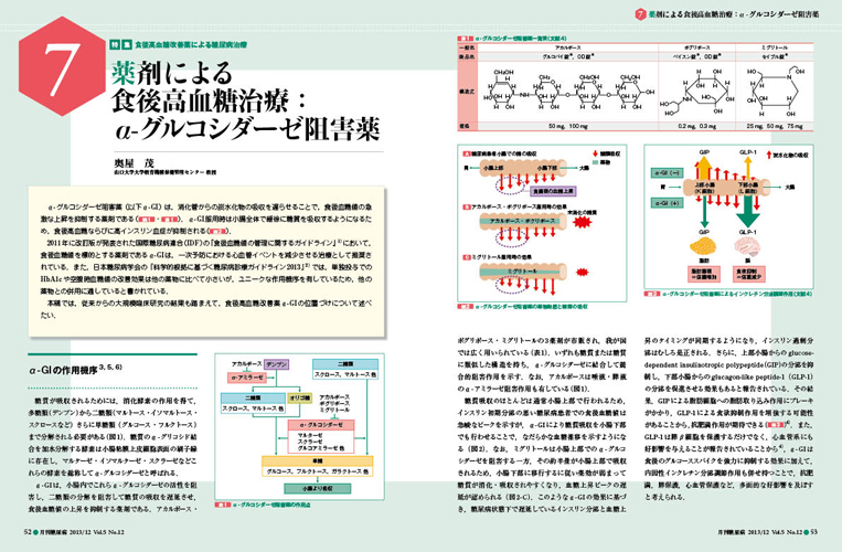 医学出版_月刊糖尿病13年12月号