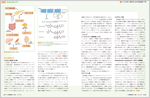 医学出版_月刊糖尿病20年128号