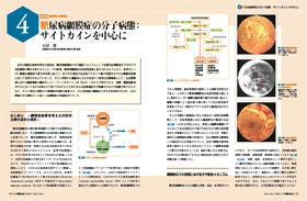 医学出版_月刊糖尿病10年2月号
